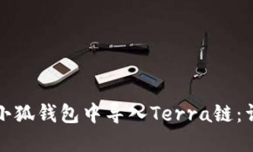如何在小狐钱包中导入Terra链：详尽指南