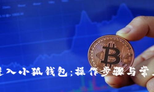 如何重新进入小狐钱包：操作步骤与常见问题解答