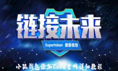 小狐钱包添加Core主网详细