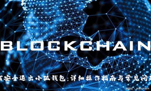 : 如何安全退出小狐钱包：详细操作指南与常见问题解答