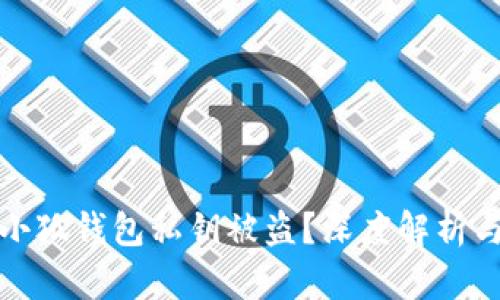 如何防止小狐钱包私钥被盗？深度解析与安全建议