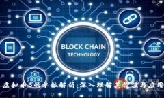虚拟币B的单位解析：深入
