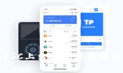 小狐钱包在BSC上出现问题的原因及解决办法