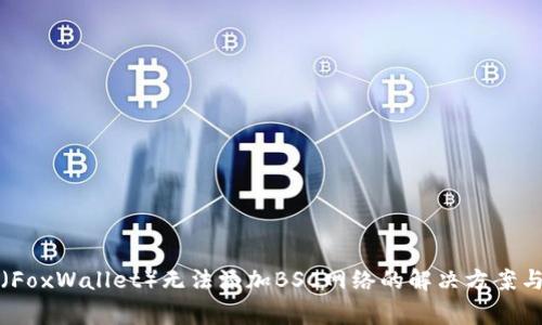 小狐钱包（FoxWallet）无法添加BSC网络的解决方案与常见问题