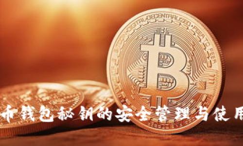 虚拟币钱包秘钥的安全管理与使用指南