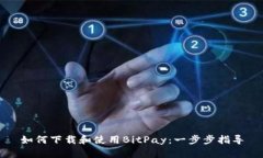 如何下载和使用BitPay：一步步指导