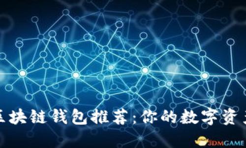 最安全的区块链钱包推荐：你的数字资产保护指南