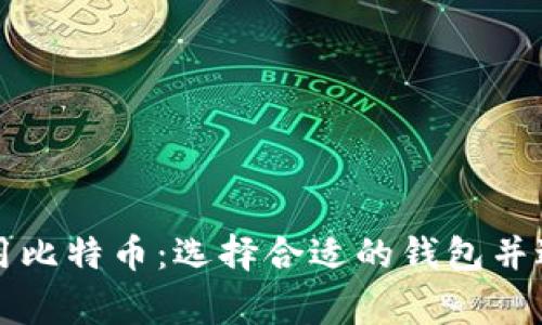 如何安全使用比特币：选择合适的钱包并避免常见陷阱