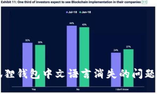 如何解决小狐狸钱包中文语言消失的问题及其使用指南
